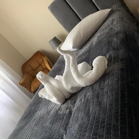 Vesna Mtp פוזנן